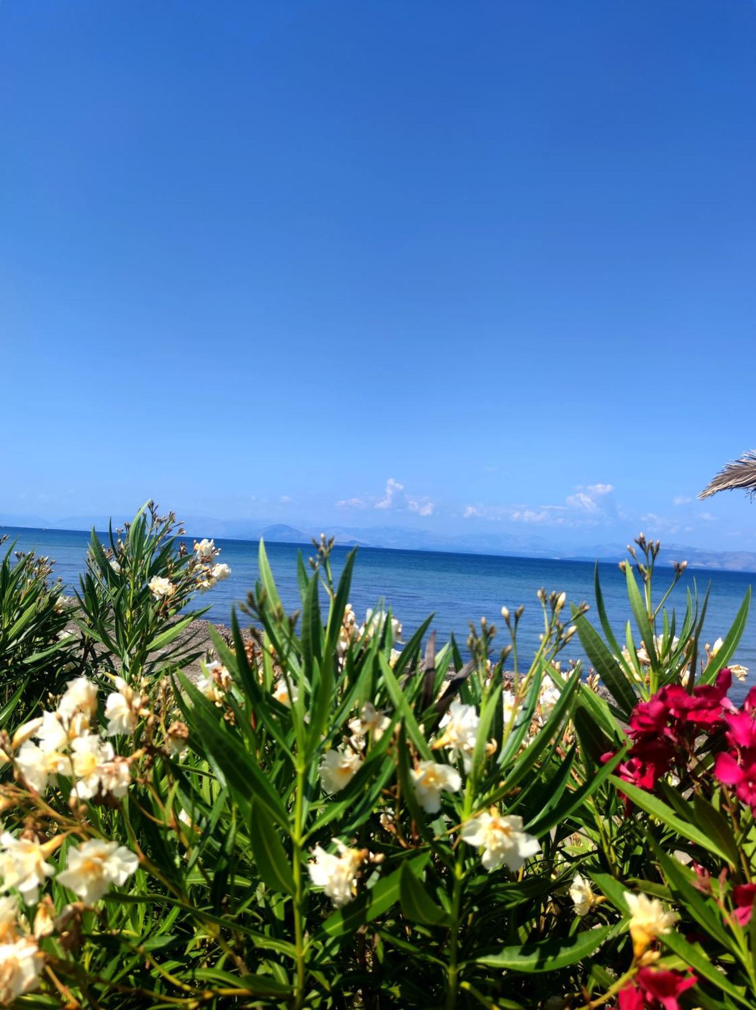 Aparthotel Blue Waves Corfu Kávos Exterior foto